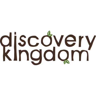 The Brook Church Discovery Kingdom – branding by Johnnyo Design